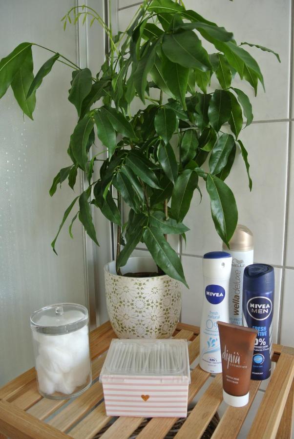 Rheinau Apartment Εξωτερικό φωτογραφία